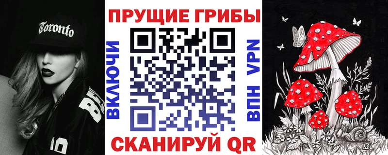 Псилоцибиновые грибы Psilocybe  Абдулино 